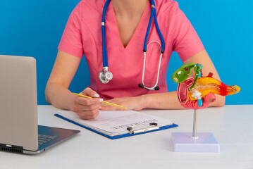 anatomical pancreas model on work desk of doctor
