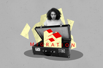 Template sketch image composite artwork collage of young lady shocked open baggage migration...