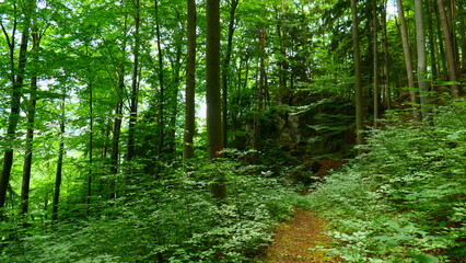 Wanderwege am Kulmriegel, Bucklige Welt, Niederösterreich 