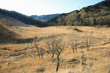 兵庫県神河町　砥峰高原の風景
