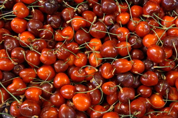 Close-up of freshly picked cherries in varying shades of red and burgundy, complete with stems. Ideal for themes related to organic farming, fresh produce, summer fruits, and natural nutrition.