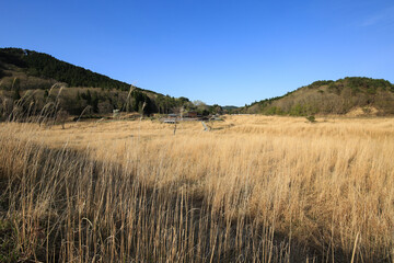 兵庫県神河町　砥峰高原の風景