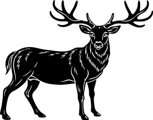 A deer with large antlers, isolated on a white background 