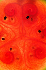 Macro of a cross section of a fresh watermelon. Watermelon background