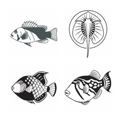line art of marine fish on the white background