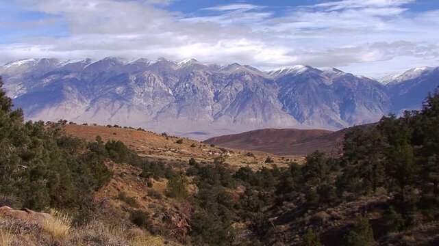 LTR pan of the snowcapped White Mountains as seen from the hills between Chalfant Valley and Mammoth Lakes, California.  In the foreground, pines and grass grow in rocky, vocanic terrain.