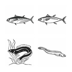 line art of marine fish on the white background