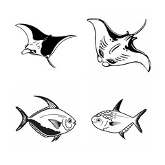 line art of marine fish on the white background