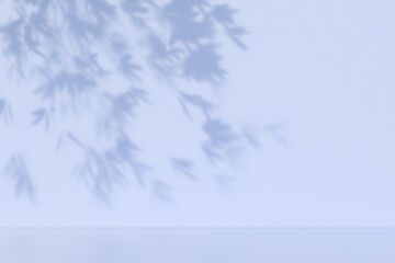 Obraz premium Shadow of tree branches on a light blue wall. 3d rendering