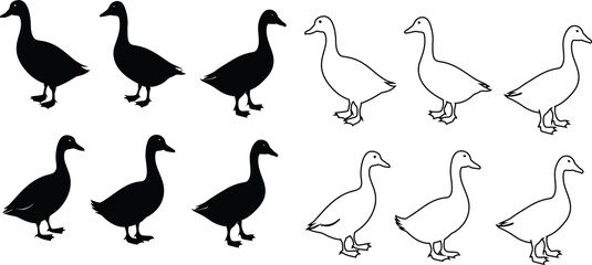 Set of duck silhouettes and outlines in vector format, isolated on white