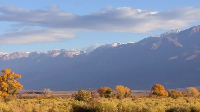 LTR pan of the snowcapped Sierra Nevada crest from the Owens Valley near Bishop, California with golden rabbit brush and fall foliage in the foreground.