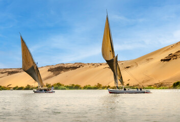 Traditional sailboats, known as feluccas, gracefully glide along the calm waters of the Nile River under a clear blue sky with sand dunes in the background