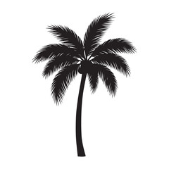 Palm Tree Silhouettes
