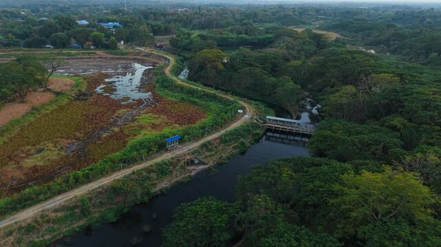 Lush vegetation surrounds a check dam regulating the flow of water in a rural landscape