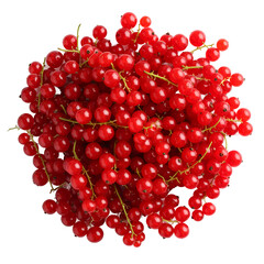 Vibrant heap of fresh redcurrants, perfect summer fruit arrangement on the transparent background