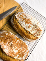 Flat lay on white background of healthy homemade bread served on table.