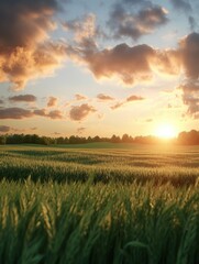 Fototapeta premium A serene sunset over a lush green field