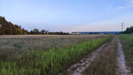 Fototapeta premium rural landscape with fence