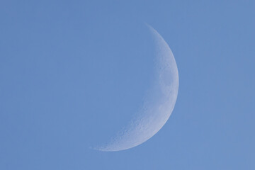 Mond