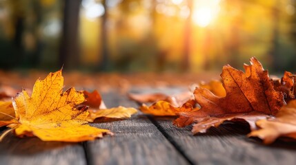 Beautiful fall leaves scattered on a rustic wooden surface, illuminated by warm sunlight, evoking feelings of nostalgia and the transition to colder months.