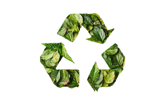 Green leafy symbol with a star in the middle and arrows pointing to the left