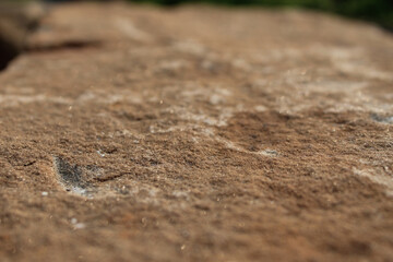 close-up of a sandstone rock surface from a low angle view. abstract geology texture background. macro design element