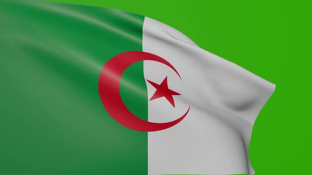 Waving Algerian flag on green screen. National flag of Algeria waving on the wind. 