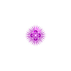 Abstract radiance, purple floral blossom with starburst effect on black background