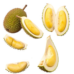 Fototapeta premium Durian isolated icon set with no background design element 