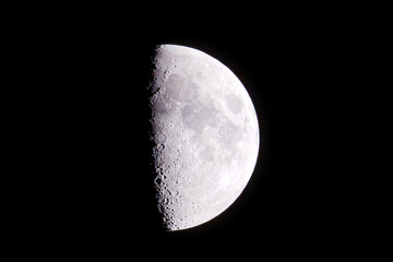 Mond