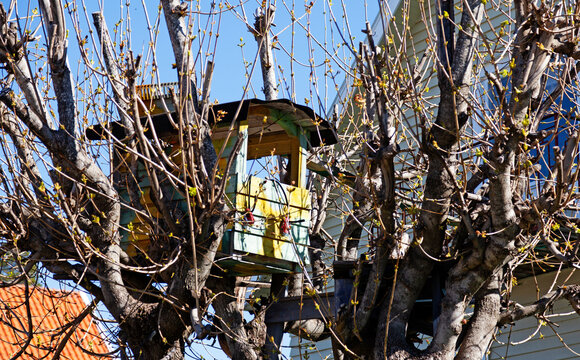 Colorful tree house nestled in bare branches in spring