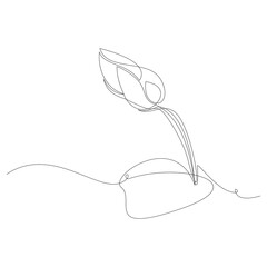 Minimalist one line art of lotus flower buds