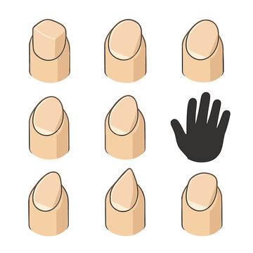 Masculine Nail Icon Grid. Isometric Flat icon set of masculine nail shapes: square nail, rounded nail, squoval nail, oval nail,