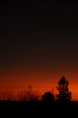 Fiery Sunset Behind Bare Trees and Silhouetted Forest Landscape