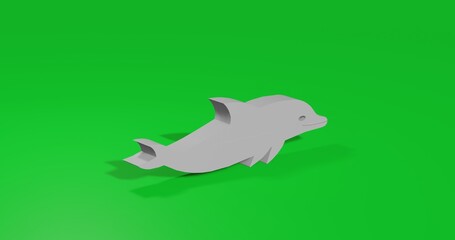 Isolated realistic white dolphin symbol front view with shadow. 3d illustration on green chroma key background