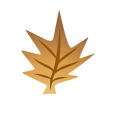 Stylized golden foliage emblem set against a stark darkness contrast backdrop