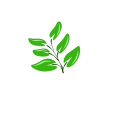 Stylized Green Branch with Leafy Foliage on a Contrasting Dark Backdrop
