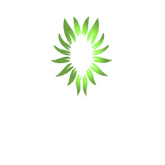 Abstract botanical ellipse with radiant green petals on solid black backdrop