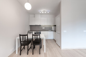 Modern Home Minimalist Kitchen with White Cabinets and Elegant Dining Furniture