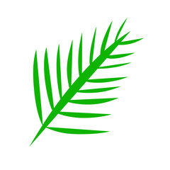 Stylized fern frond illustration on a solid dark backdrop for design elements