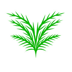 Symmetrical green foliage illustration against a stark black backdrop design