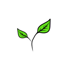 Minimalist presentation of a pair of stylized leaves on a stark black backdrop