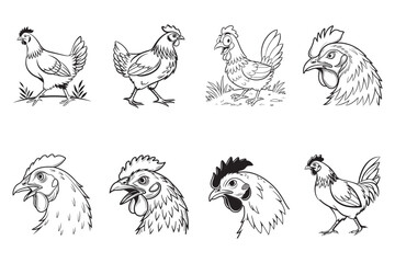 Simple Line Art Illustrations of Chickens and Chicken Parts