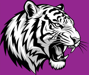 Angry white tiger logo, white tiger head turned to the right, roaring tiger on purple background.