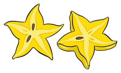 star fruit cut slice icon