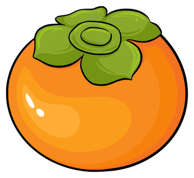 persimmon fruit orange