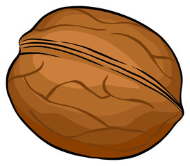 walnut fruit icon