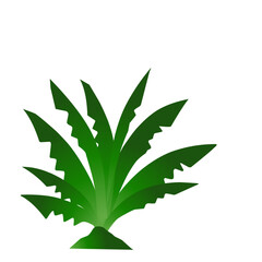 Stylized botanical illustration showcases verdant plant on stark backdrop