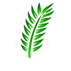 Elegant green foliage illustration against a stark black backdrop evoking nature's simplicity