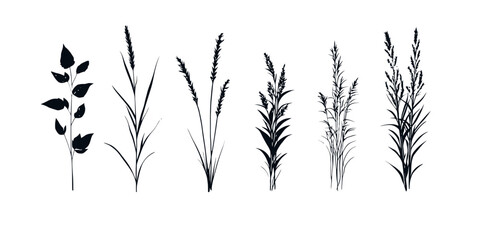 Collection of cereal crop shadow silhouettes in vector format for design and illustration projects